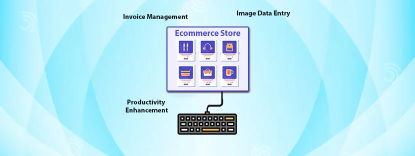 Ecommerce Development and Online Data Entry
