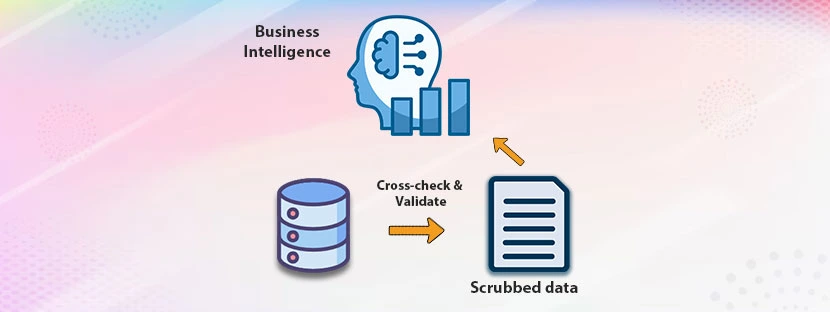 Business Intelligence with Data Scrubbing