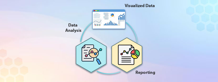 Data Analysis and Reporting