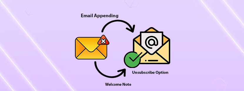 Customized Email Appending