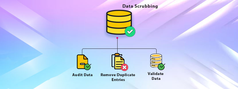Data Scrubbing – A Complete Guide for B2B Companies