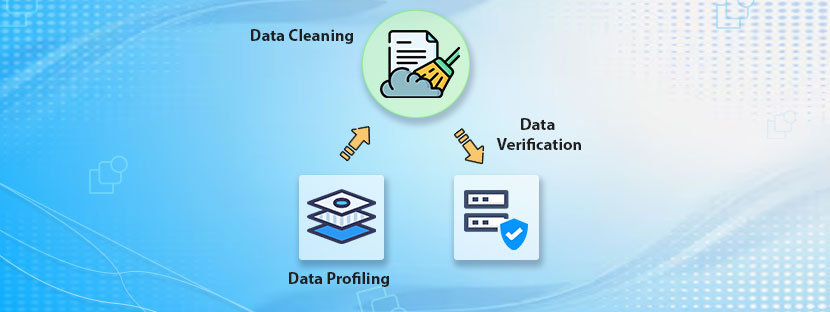 Data Cleansing Companies