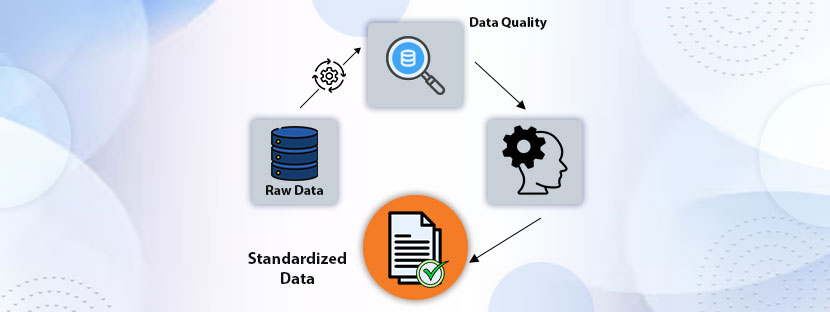 Data Management Data Standardization