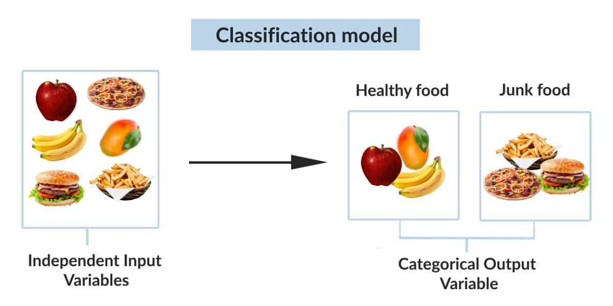 Classification model