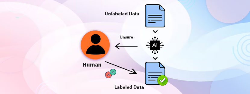 Machine Learning & AI Development