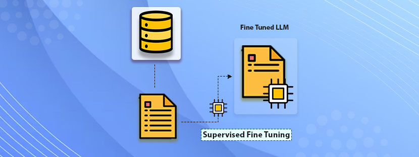 Supervised Fine Tuning
