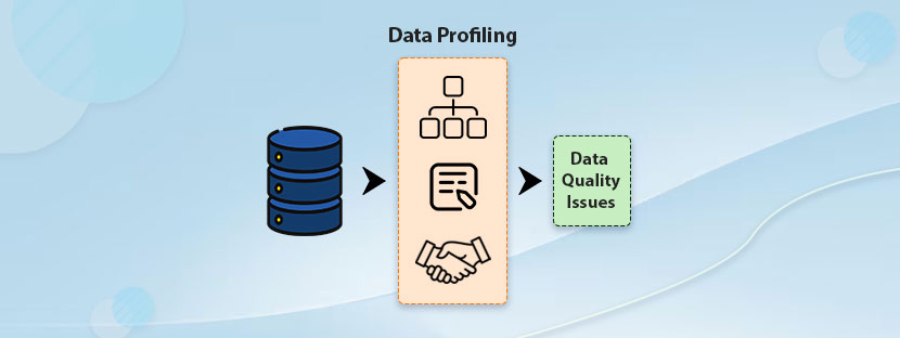 Data Profiling for Business Operations