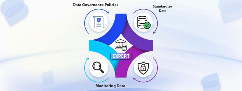 Data Governance Expert