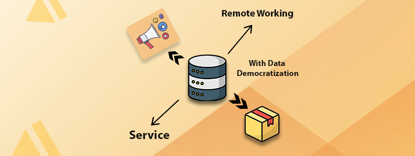 Data Democratization