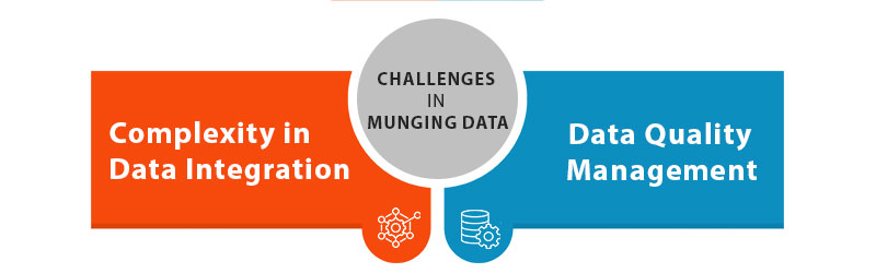 Data munging processes