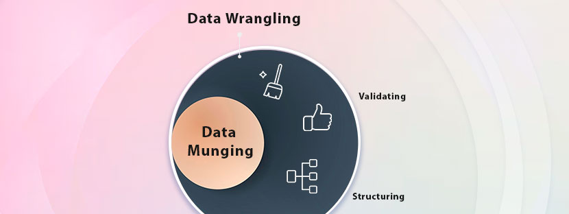 data munging & data wrangling